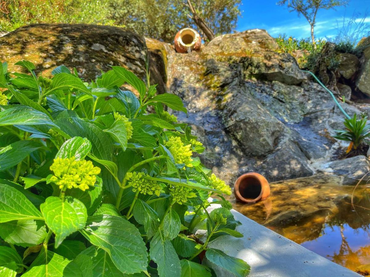 Casa Rico Frade Garden Hotel Sao Pedro do Corval Bagian luar foto